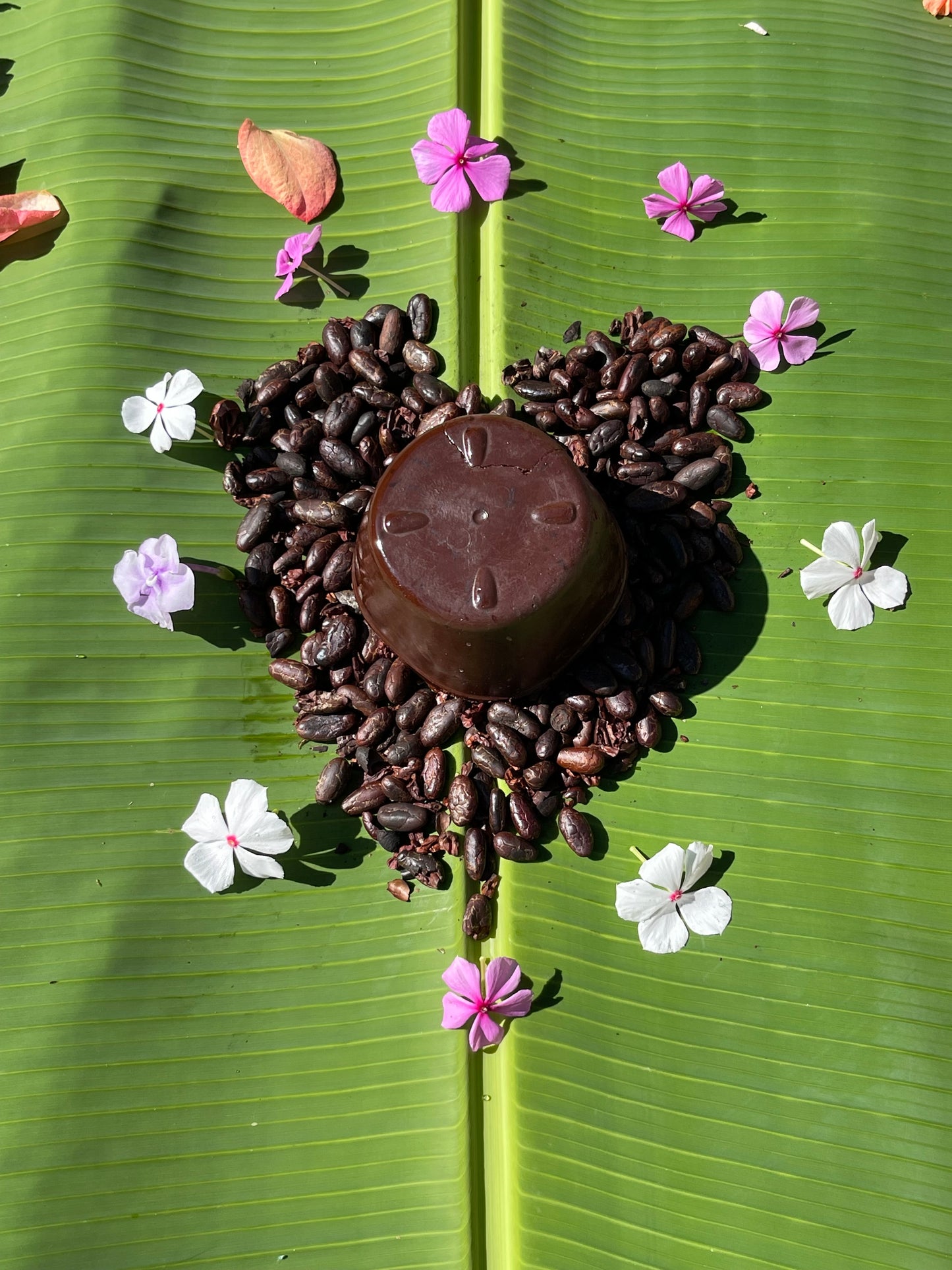 Katzhildli Cacao 250g