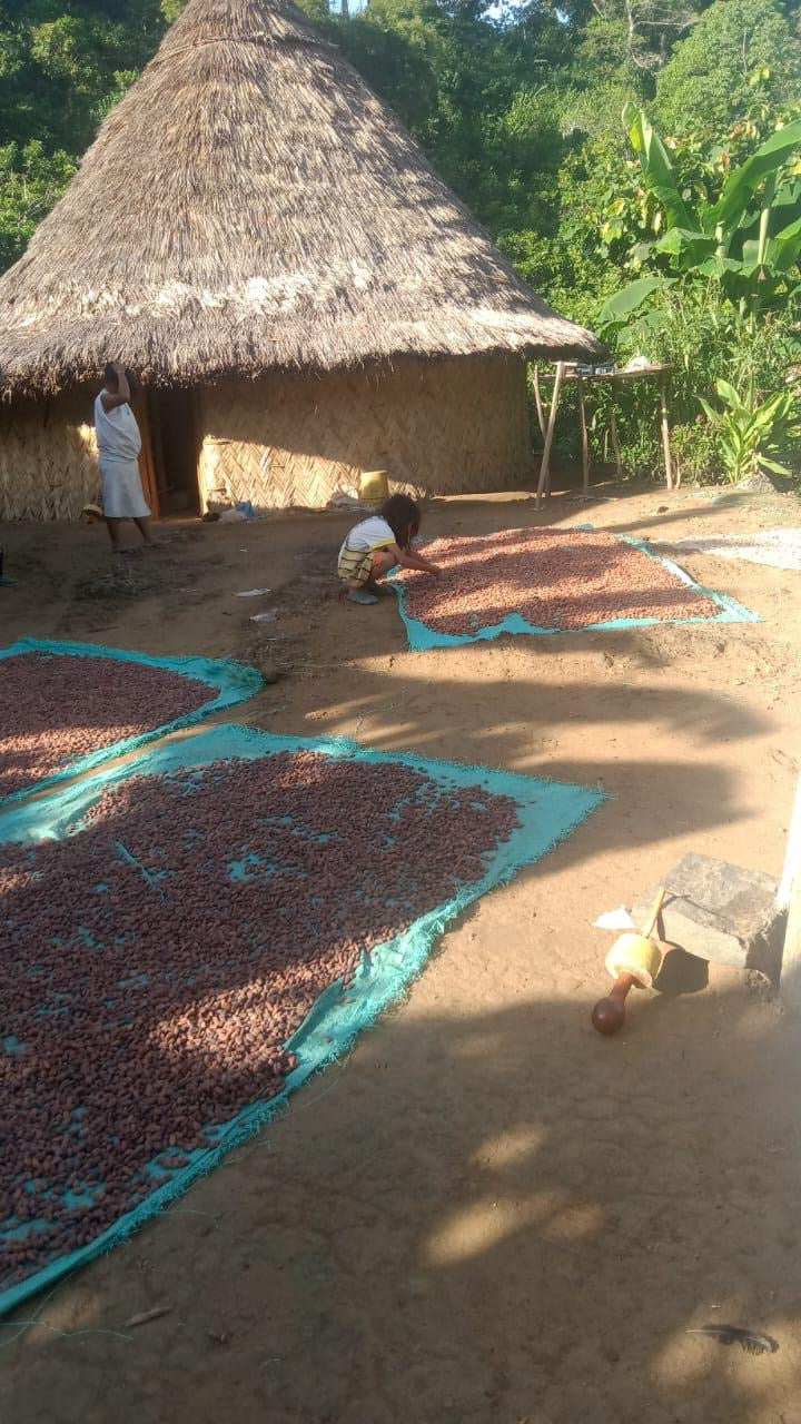 Katzhildli Cacao